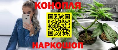 гидропоника Малгобек