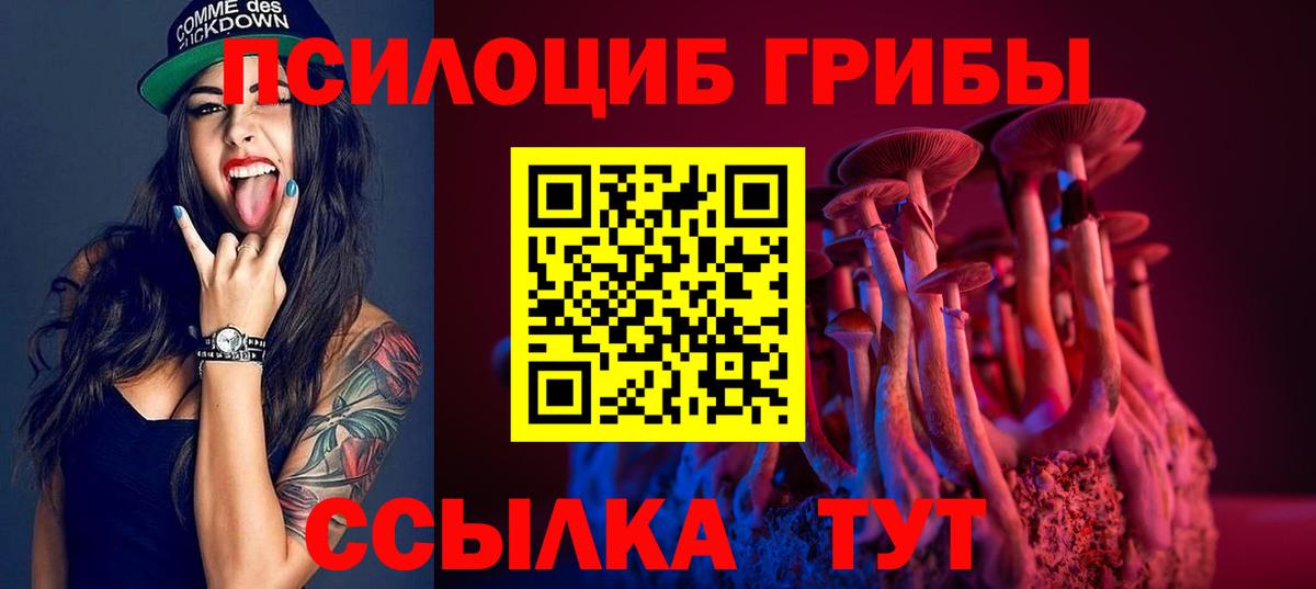 Псилоцибиновые грибы Magic Shrooms  Вход с VPN  где можно купить наркотик  Стрежевой  Галлюциногенные грибы мицелий 